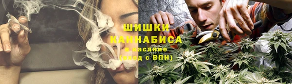 мдпв Богородицк